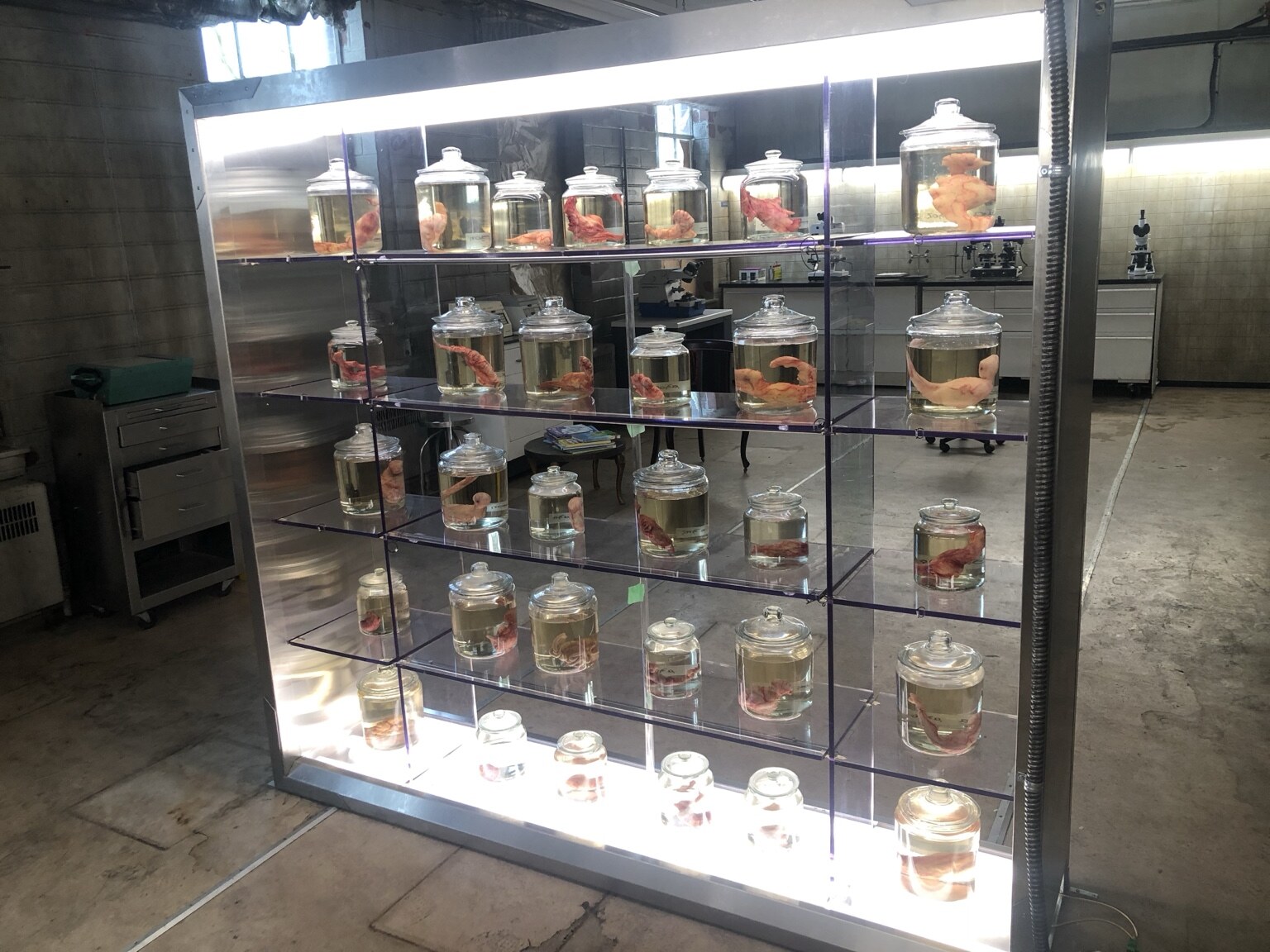 Illuminated display case