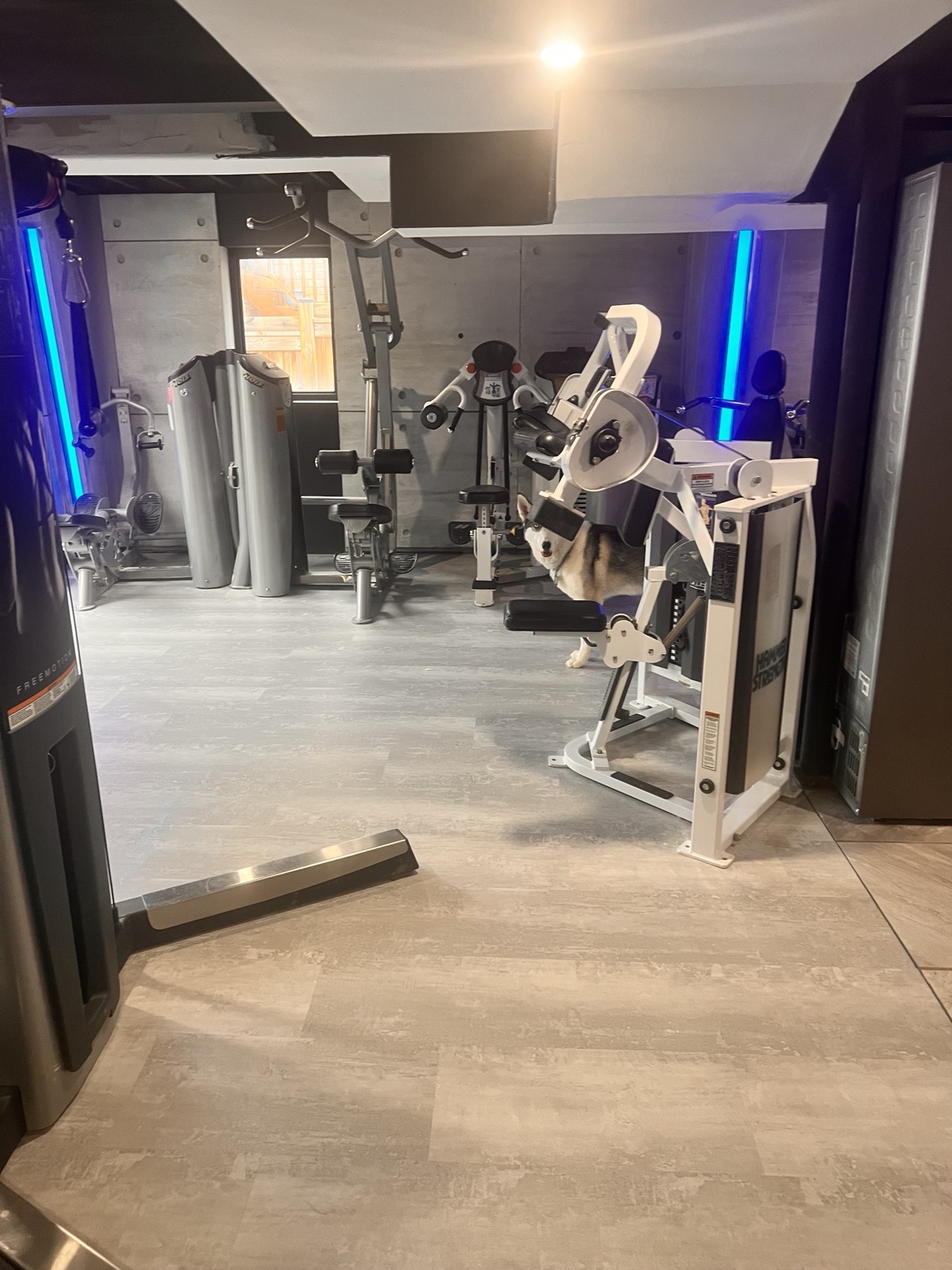 Home gym with blue integrated accent lighting